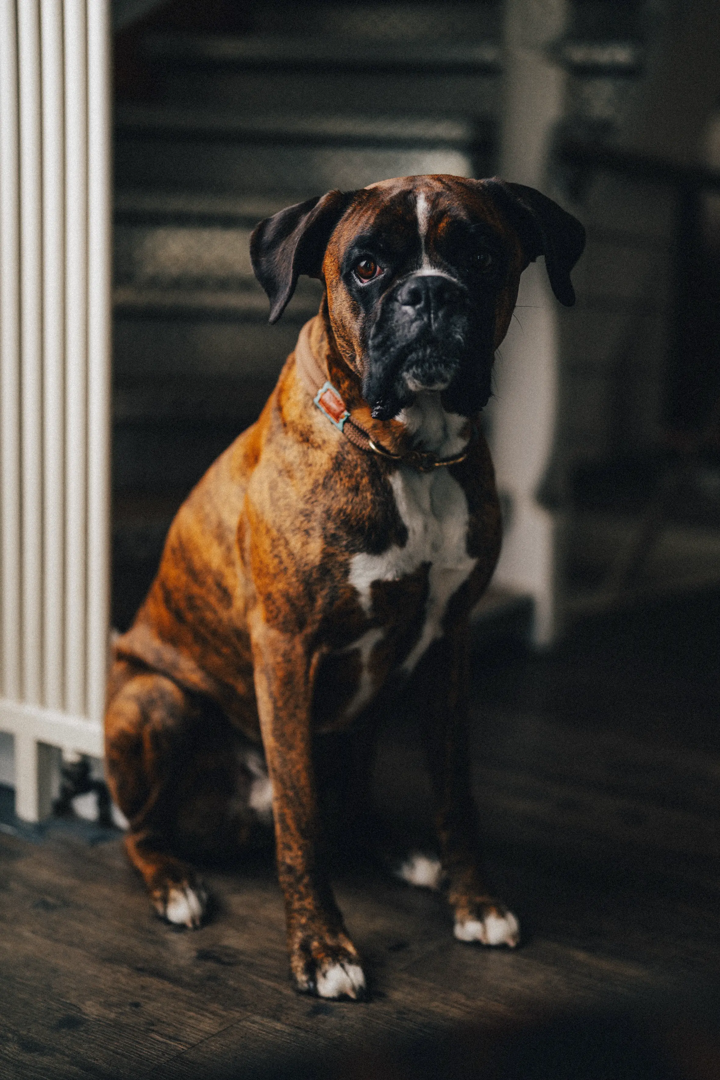 Friseur Die Haarmacherei Team Beat 01